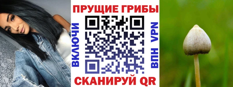 Галлюциногенные грибы мицелий  где купить наркоту  kraken ССЫЛКА  Белорецк 