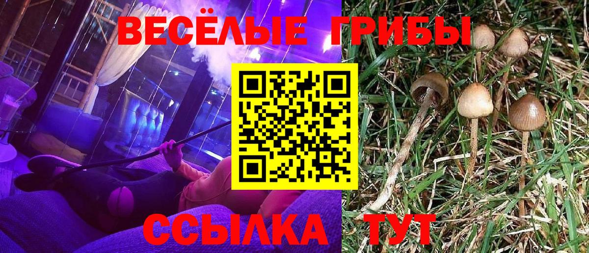 Псилоцибиновые грибы Magic Shrooms  Вход с VPN  наркотики  Белорецк 
